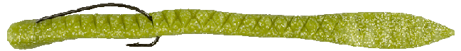 soft plastic bait